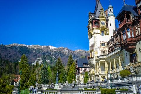 Peles, les châteaux de Dracula et Brasov: excursion privée d'une journée et prise en charge