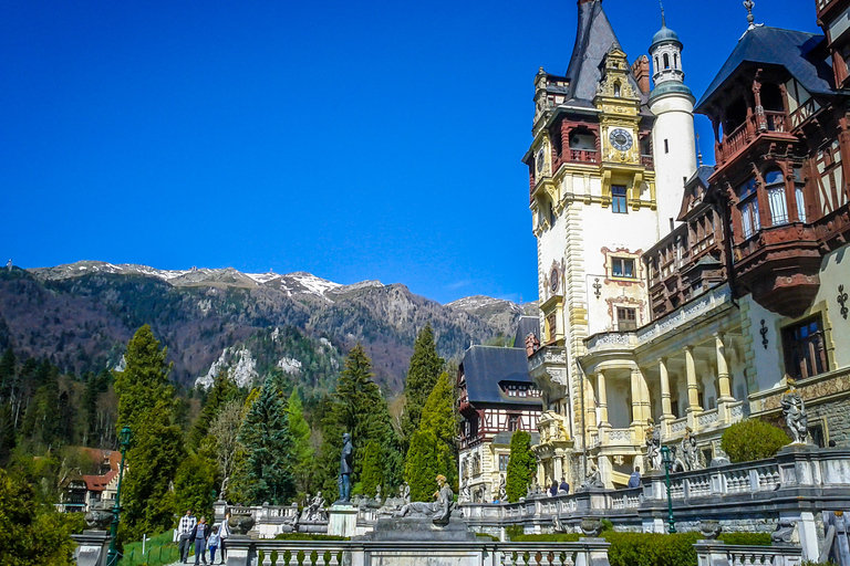 Peles, les châteaux de Dracula et Brasov: excursion privée d'une journée et prise en charge