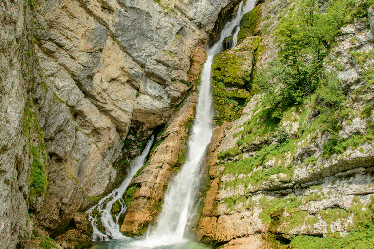 Ljubljana: Bled, Bohinj, & Škofja Loka Day Trip