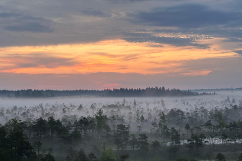 Sunrise Tour To Great Kemeri Bog