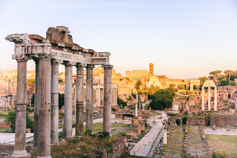 Rome: Colosseum, Roman Forum, & Palatine Hill with eBook Rome: Colosseum, Roman Forum, Palatine Hill, & Free eBook