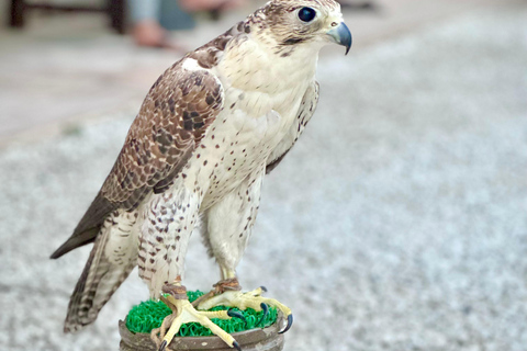 Dubai. Old Town,Museums,Markets,Street Food&Abra Boat Tour Shared Tour in Spanish
