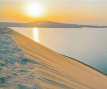 Doha :Sunrise/ Sunset Desert Safari CamelRide & Sandboarding