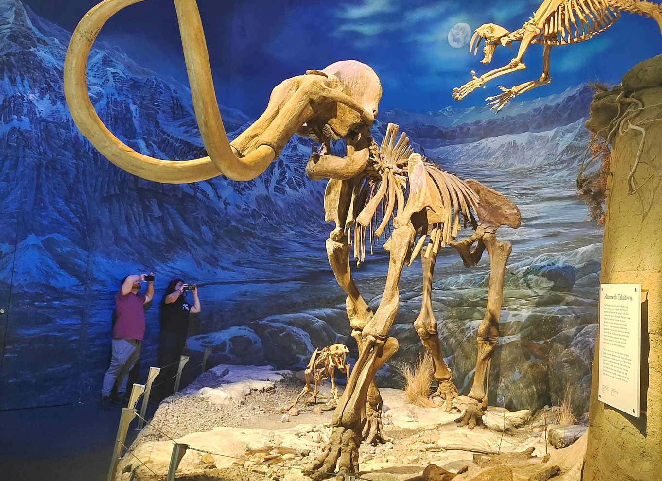 Badlands-tur: Drumheller med museum, hoodoos og dinosaurer
