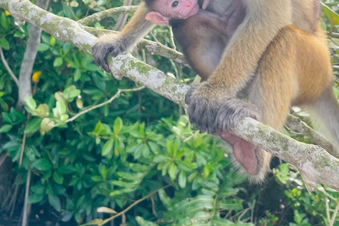 Koggala Lake Private Boat Tour with Dinesh