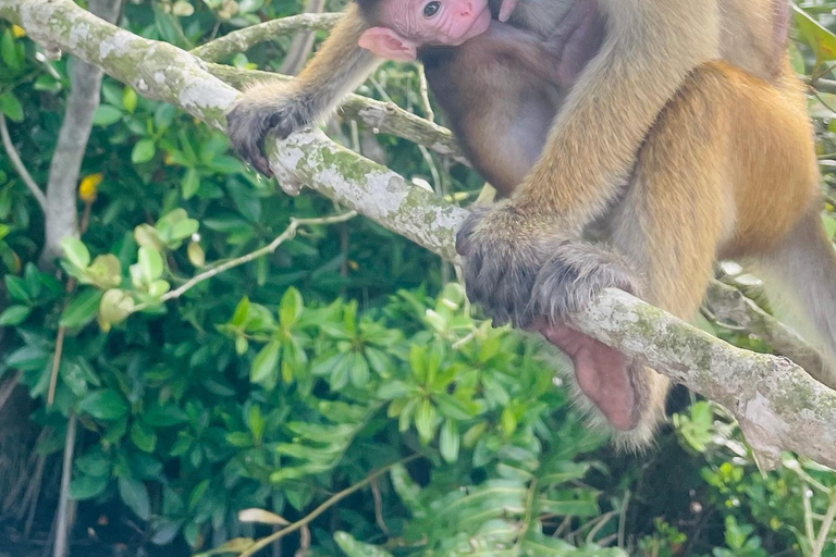 Koggala Lake Private Boat Tour with Dinesh