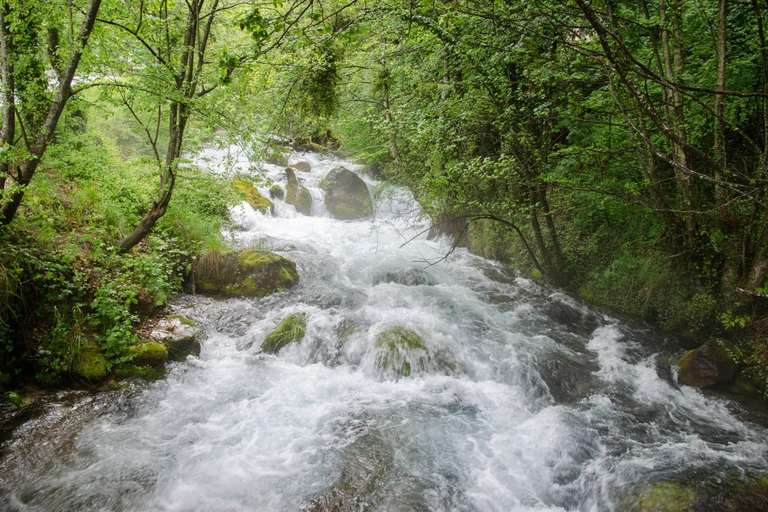 Städtereise Struga und unabhängiges Vevchani ab Ohrid