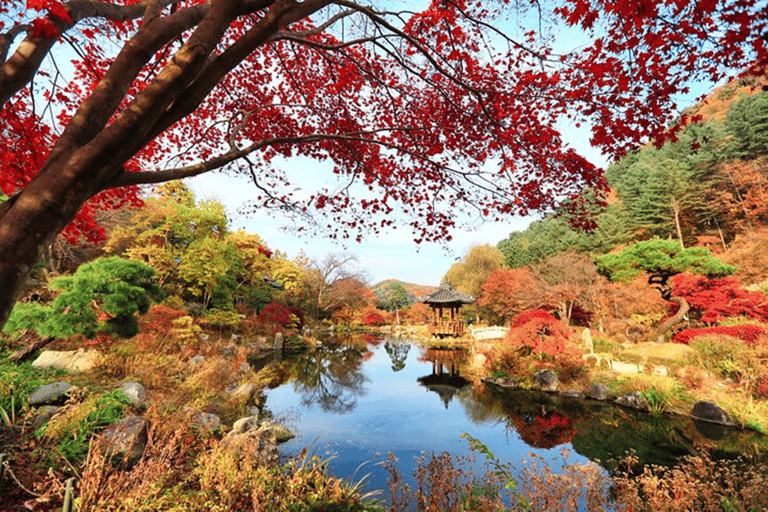 Séoul : Visite de l&#039;île de Nami/jardin du matin calme (+vélo sur rail)Visite de groupe, rendez-vous à Myeongdong