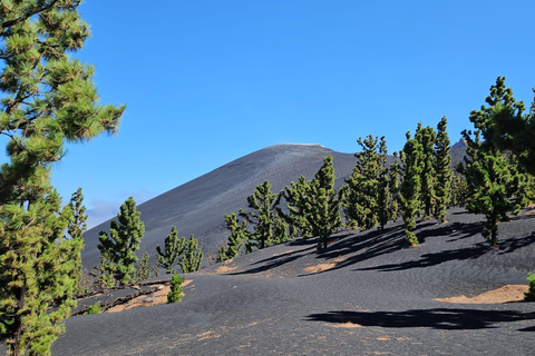 La Palma: Tur till den nya vulkanen Tajogaite 360º.Upphämtning i Fuencaliente