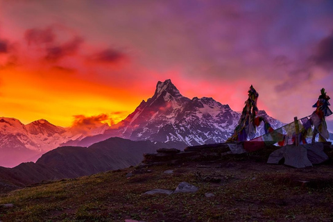 Nepal: Mardi Himal Trek -7 Days (Best short Treks in Nepal) Mardi Himal Trek: Only guide services
