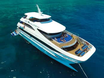 Cairns: Outer Great Barrier Reef - Tagestour & Live-Musik Cairns: Outer Great Barrier Reef - Tagestour & Live-Musik