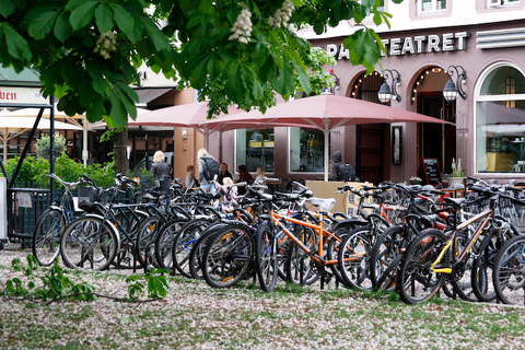 Authentic Oslo bike tour Oslo: Off-the-Beaten-Path Bike Tour