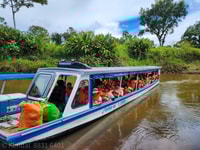 La Pavona, Shared Boat to Tortuguero Village - Housity