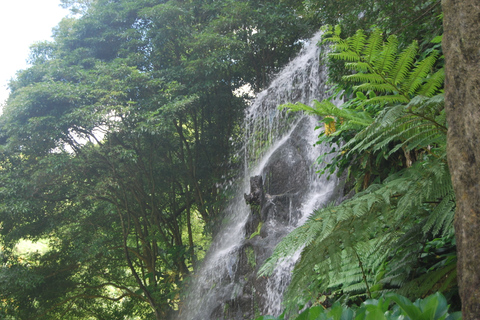 São Miguel: Hele dag Nordeste & Waterval Tour met Lunch