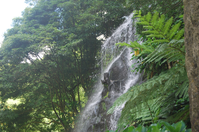 São Miguel: excursão de 1 dia ao Nordeste e às cachoeiras com almoço