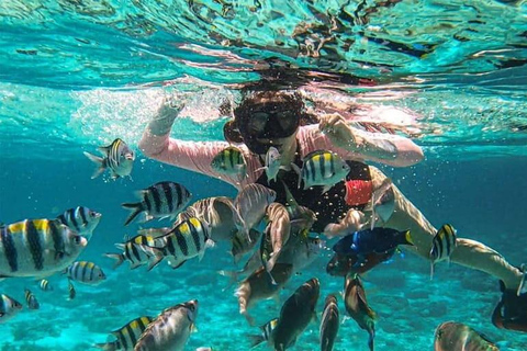 ️ Cebu: Mactan Private Island-Hopping Tour With Snorkeling