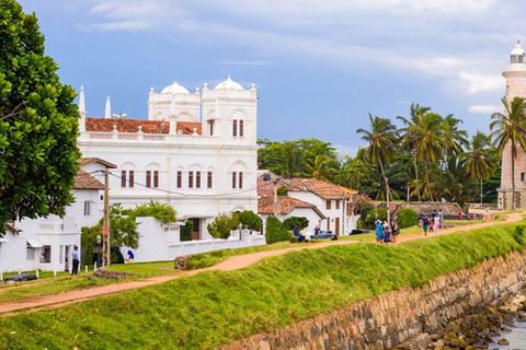 Galle: Private Colombo/Airport Transfer with Turtle Stop