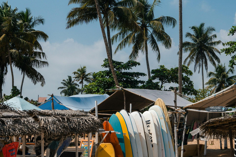 米里萨或卡尔皮蒂亚冲浪营之旅（适合初学者和专家）