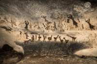 The Depths of Magura Cavea and the Heights of Belogradchik - Housity