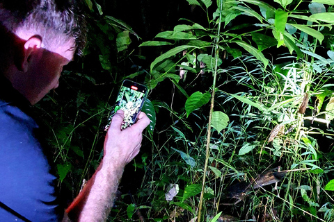 Khao Sok: Half-Day & Night Wildlife Trek and Jungle Dinner Option 6: Half-Day & Night Trek with Dinner From Khao Lak
