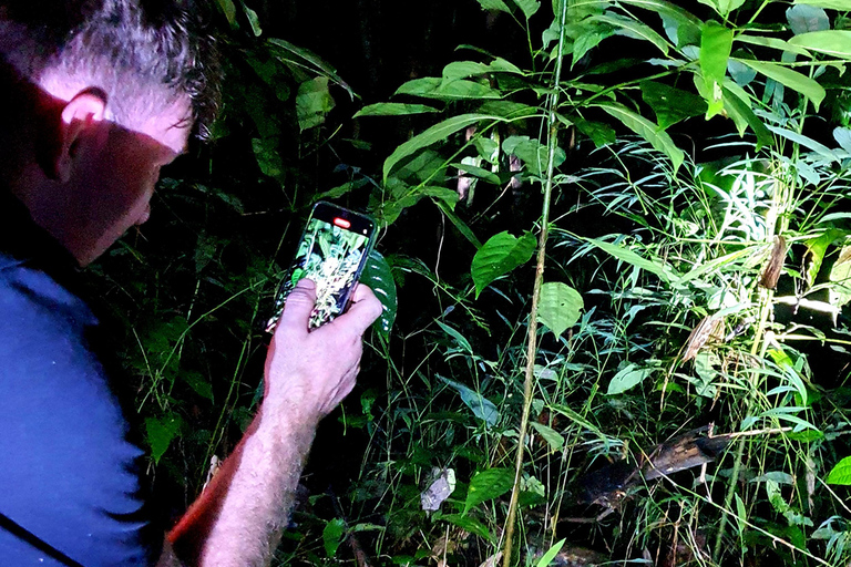 Khao Sok: Half-Day & Night Wildlife Trek and Jungle Dinner Option 6: Half-Day & Night Trek with Dinner From Khao Lak