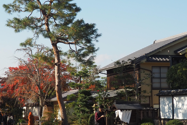 E-Bike Tour in Kyoto with Asuka, Japanese graduate student