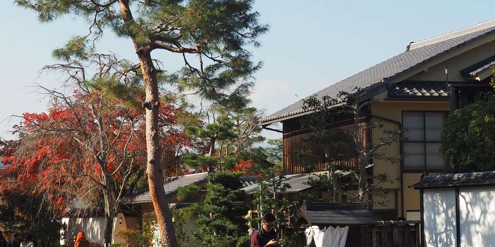 Kyoto experience — temples, geisha, bamboo grove — image 81