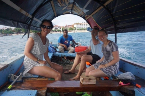 Zanzibar: 3 uur dolfijnentochtMet Pickup Van Kizimkazi Hotels