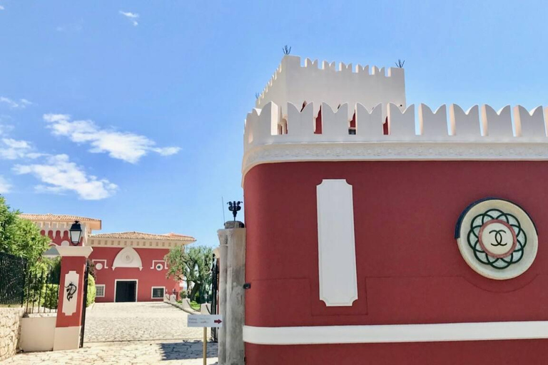 Nice City, Villefranche sur Mer and Wine Tasting