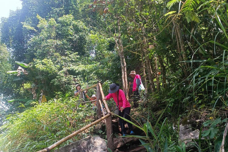 Chiang Mai: Doi Inthanon National Park & Elefantenschutzgebiet