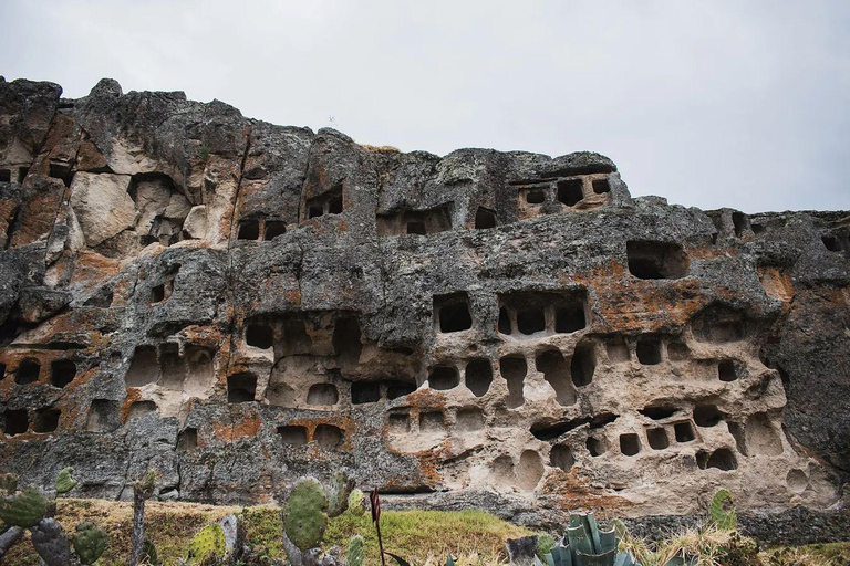 Excursion to the Ventanillas de Otuzco + farm three Molinos