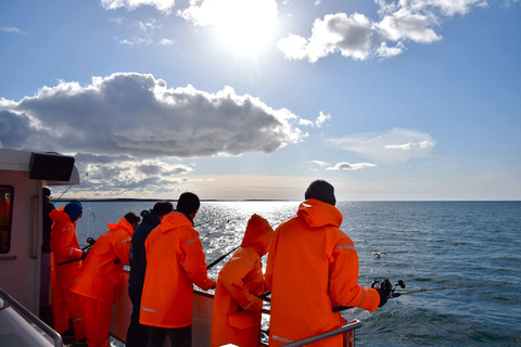 Reykjavik: Bootstour zum Hochseefischen und BBQ mit dem Fang des Tages