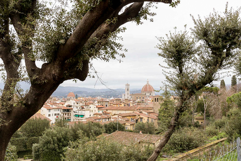 Firenze: ingresso riservato al Giardino di Boboli