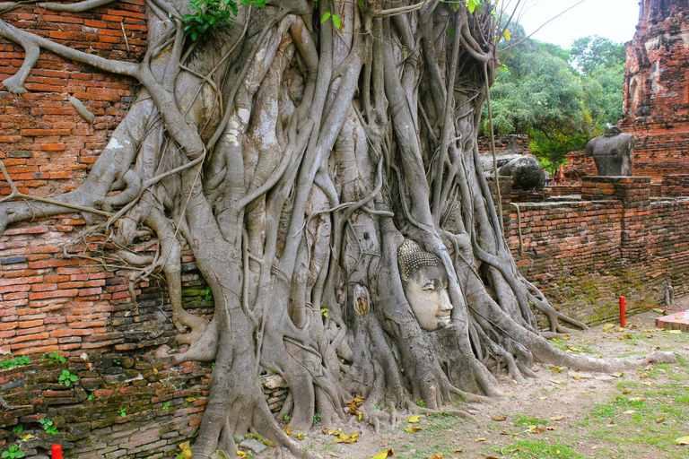 Bangkok : Excursion d&#039;une journée à Ayutthaya avec visite privée à bord d&#039;une longue queue