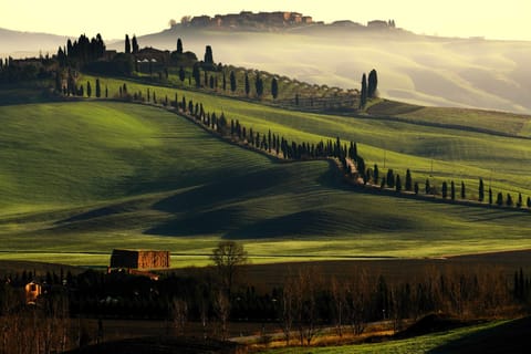 Rome Hotel or Airport Transfer to Tuscany