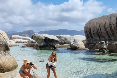 Luxury Cape of Good Hope & Penguin Tour