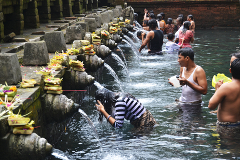 Best of Zentral-Bali: Wasserfall, Elephant Cave & ReisfelderBest of Zentral-Bali: Private Tour