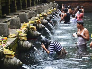 Best of Central Bali: Waterfall, Elephant Cave & Rice Fields