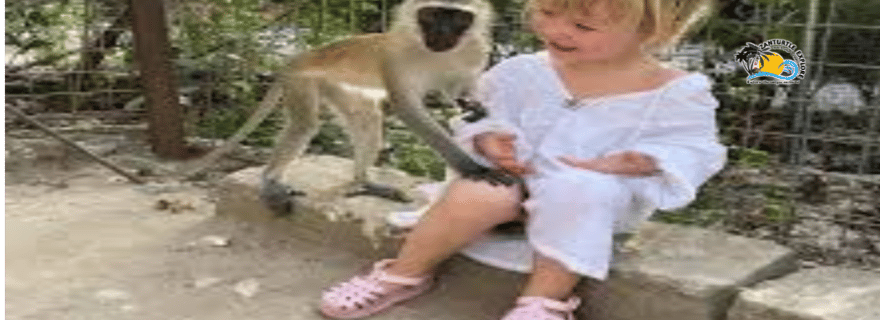 Zanzibar : visite guidée du zoo de Nungwi Kilosa