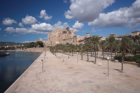 Palma : visite à pied et délices méditerranéens
