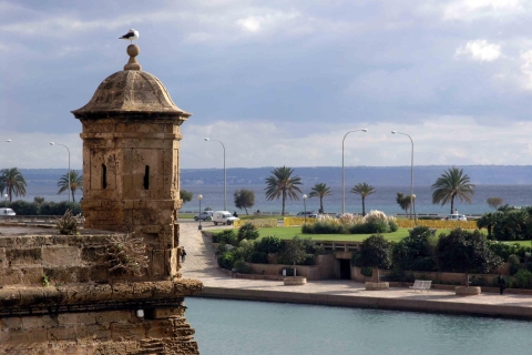 Palma : visite à pied et délices méditerranéens
