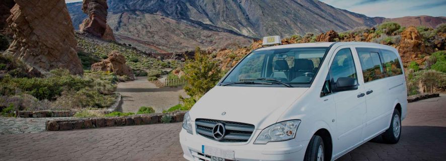 Tenerife South Airport to South Island Private Transfer
