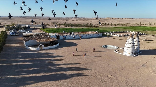 Hurghada Desert Oasis Adventure:Farm, Planting & Relaxation