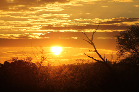 Mid-High end 5 dagars all-inclusive Kruger &amp; Pano Tour från JHB