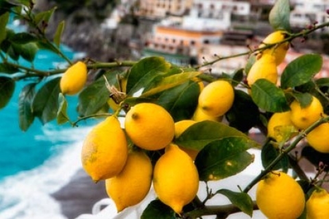 Sorrento: tour privado de día completo en Vespa vintage por la costa de AmalfiTour en Vespa Vintage desde Nápoles
