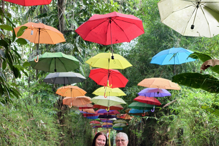 Bali: Private Jungle Swing, Waterfall & Rice Paddy Tour Private Tour with Entrance Fess