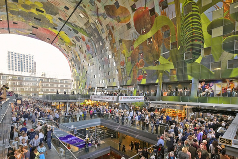 Tour de Rotterdam privado con Casas Cubo Admisión