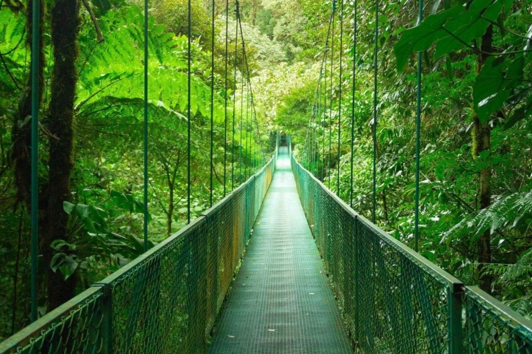 Monteverde: Monteverde Cloud Forest Canopy Adventure