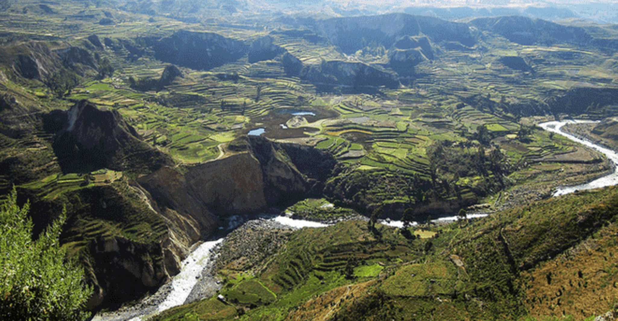 Flight of the condor in Colca 2 days 1 night - Housity