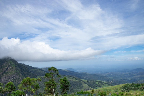 Lipton&#039;s Seat, Adisham Bungalow, excursão à fábrica de chá DambetennaDe Ella: Duas noites e três dias - Tour totalmente particular